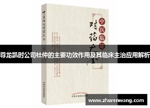 尊龙凯时公司杜仲的主要功效作用及其临床主治应用解析